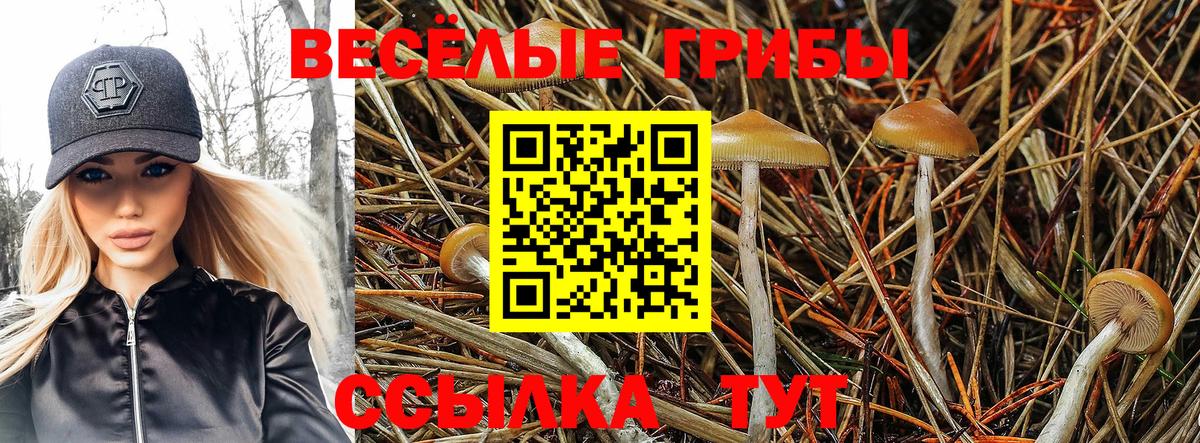 что такое   Псилоцибиновые грибы мицелий  Вход с VPN  Аша 