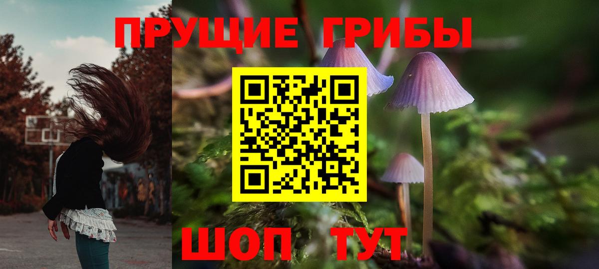 Галлюциногенные грибы Magic Shrooms Аша
